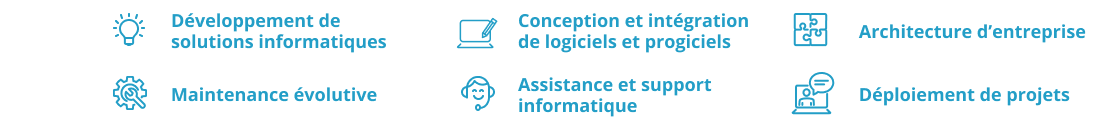 Domaines d'expertise informatique 